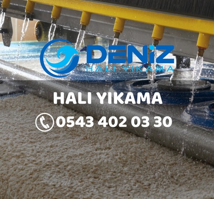 Halı Yıkama